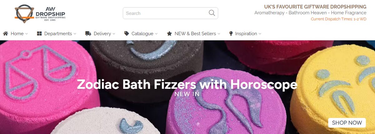 AW Dropshipping homepage best suppliers UK