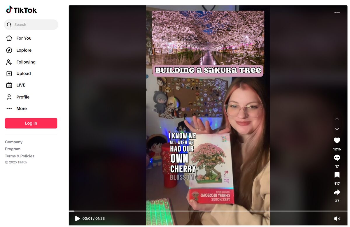 Mini Sakura Tree TikTok Ad for dropshipping success