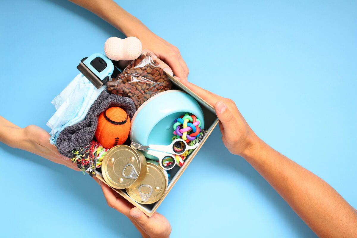 Pet subscription boxes
