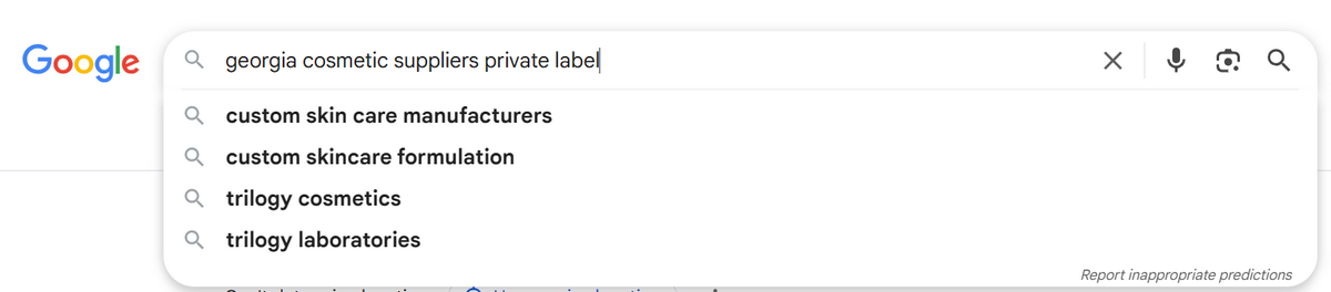 Dropshipping suppliers in georgia google search