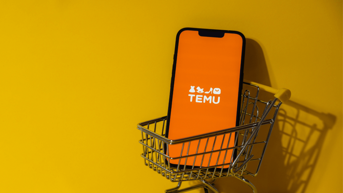 temu dropshipping guide